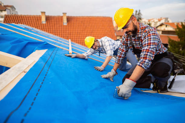 Best Roof Gutter Cleaning  in Pioneer, OH