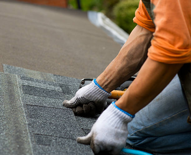 Best Storm Damage Roof Repair  in Pioneer, OH
