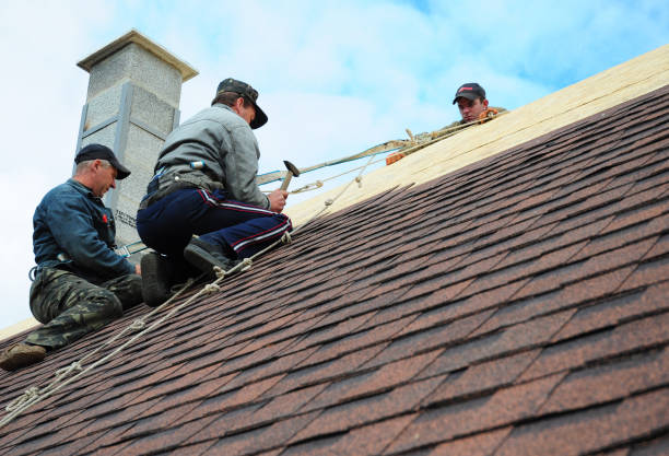 Best Roof Leak Repair  in Pioneer, OH