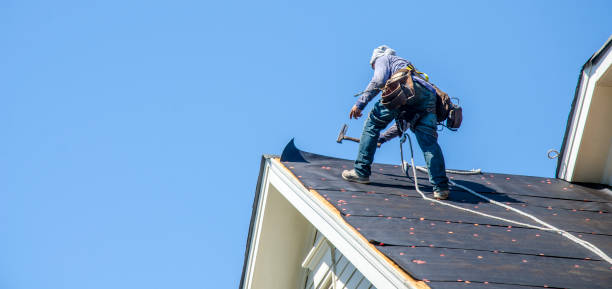 Best Roof Maintenance Services  in Pioneer, OH